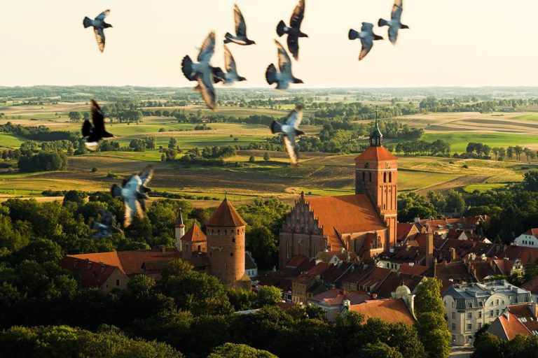 Ptaki na tle Reszla zdjęcie lotnicze z drona Maciej Wiśniewski - zdjęcie do druku na ścianę
