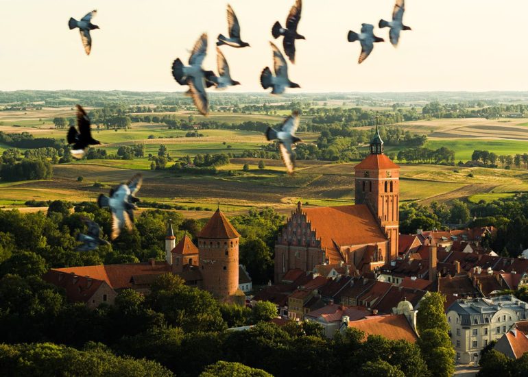 Ptaki na tle Reszla zdjęcie lotnicze z drona Maciej Wiśniewski - zdjęcie do druku na ścianę